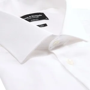 BS Begovic - White