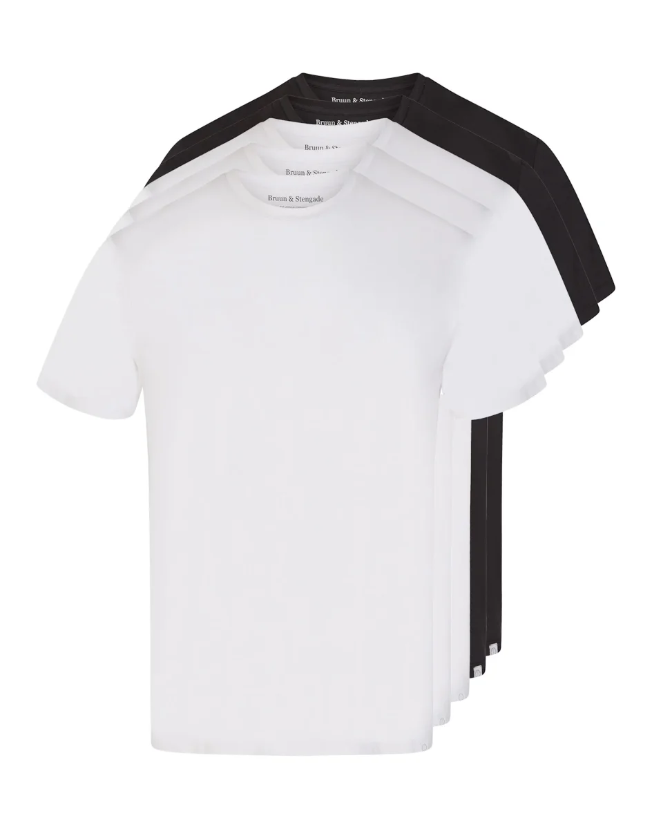 BS Antiqua Regular Fit T-shirt – Vit. Vit. Vit. Svart & Svart