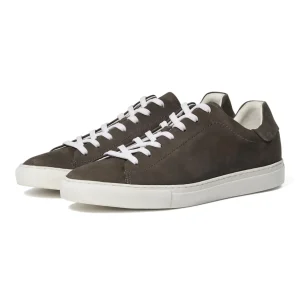 BS Fred Skor - Grey